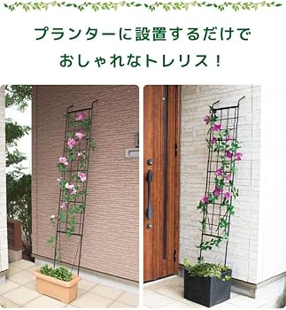 daim 組み立てかんたん 立掛け トレリス 2セット入り 幅30cm×高さ180cm diy 薔薇 トレリス バラ 立て掛け クレマチス 誘引 つる性 ばら プランター ベランダ ラウンドトレリス 園芸 フェンス 支柱